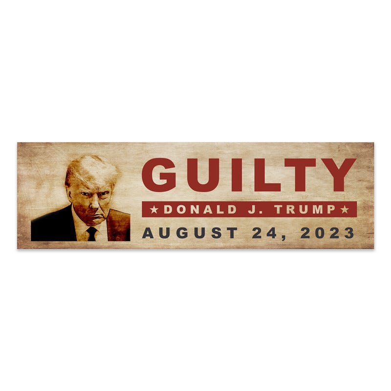 Trump Mug Shot Bumper Sticker – Guilty Trump for Prison