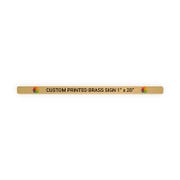 Horizontal Full Color 1" x 20" Brass Signs