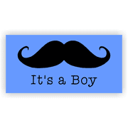 Its A Boy 2" x 4" Mustache Banner 