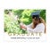 Graduate in Gold Texture Graduation Yard Sign