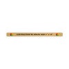 Horizontal Full Color Brass Signs 1" x 16"