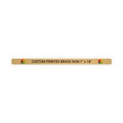 Horizontal Full Color 1" x 18" Brass Signs 