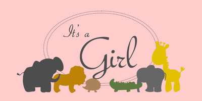 Zoo Animals Baby Shower Banner for Girl