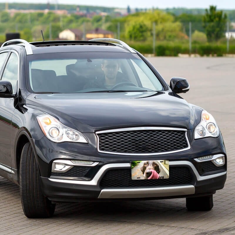 Upload Your Pet Photo Custom Front License Plate on Entire Car