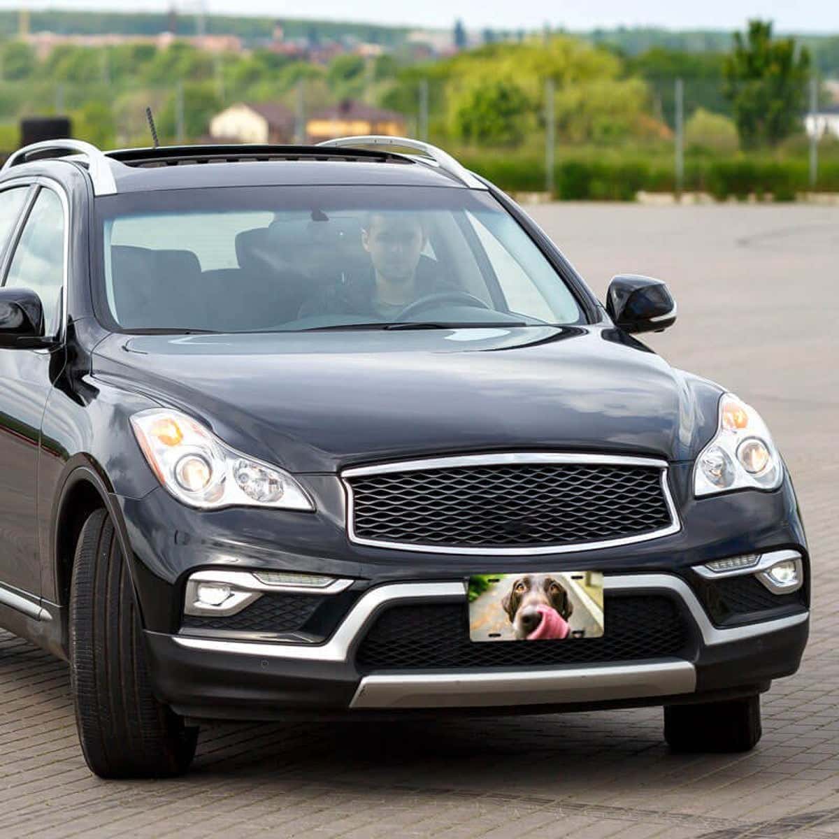 Upload Your Pet Photo Custom Front License Plate on Entire Car