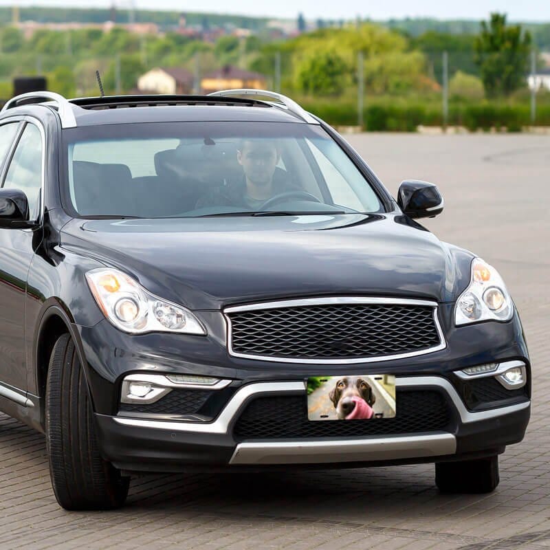 Upload Your Pet Photo Custom Front License Plate on Entire Car