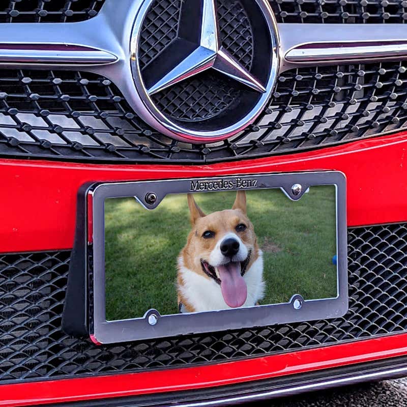 Upload Your Pet Photo Custom Front License Plate on Red Car At An Angle