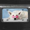 Upload Your Pet Photo Custom Front License Plate