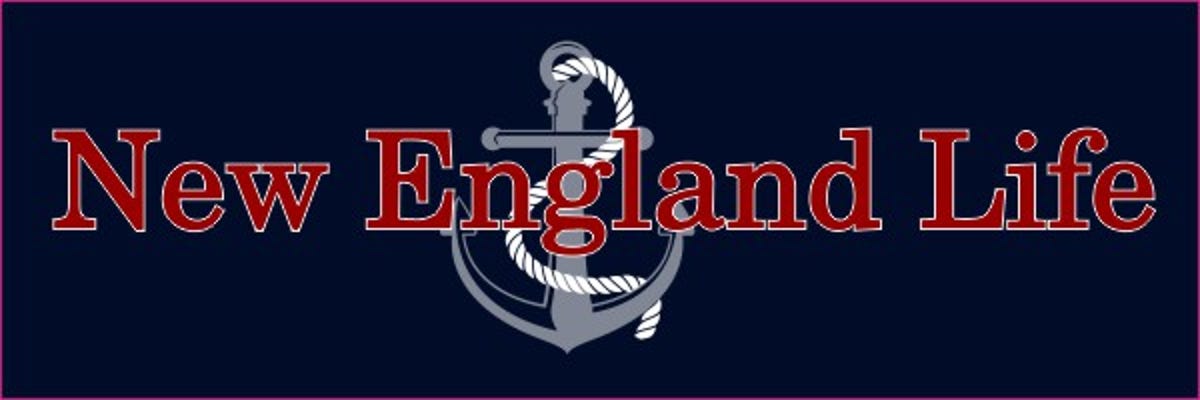 New England Life Bumper Sticker