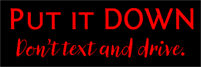Put it Down Bumper Sticker