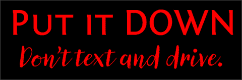 Put it Down Bumper Sticker