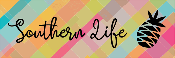 Southern Life Bumper Sticker