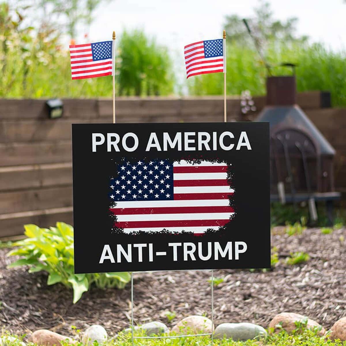 Set of American Flags Add On