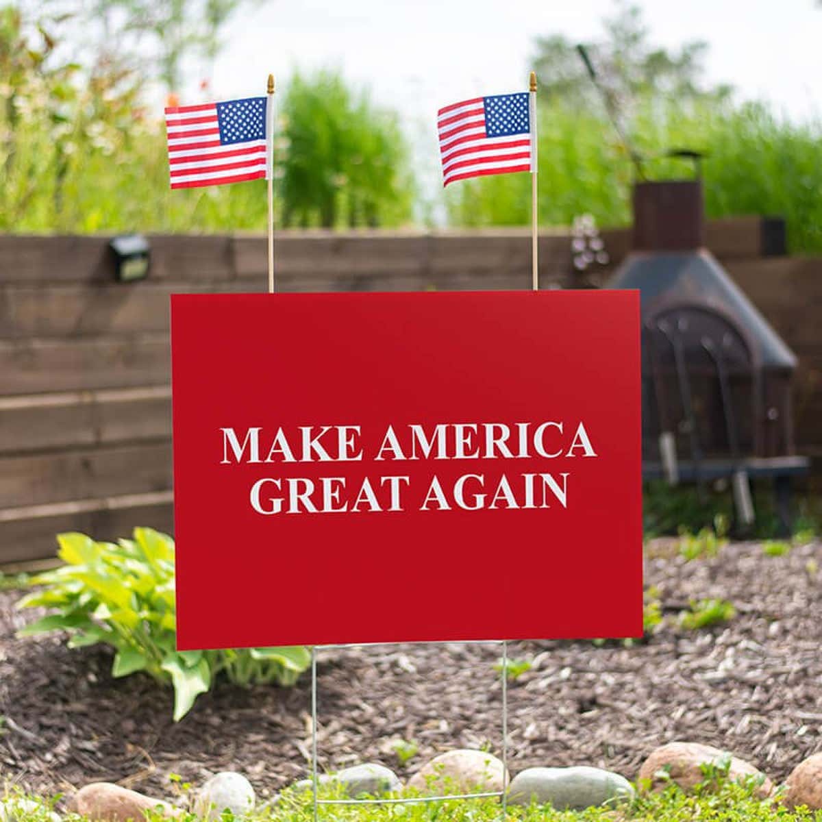 Set of American Flags Add On