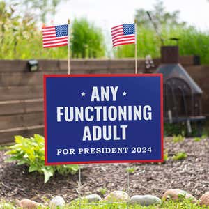Set of American Flags Add On