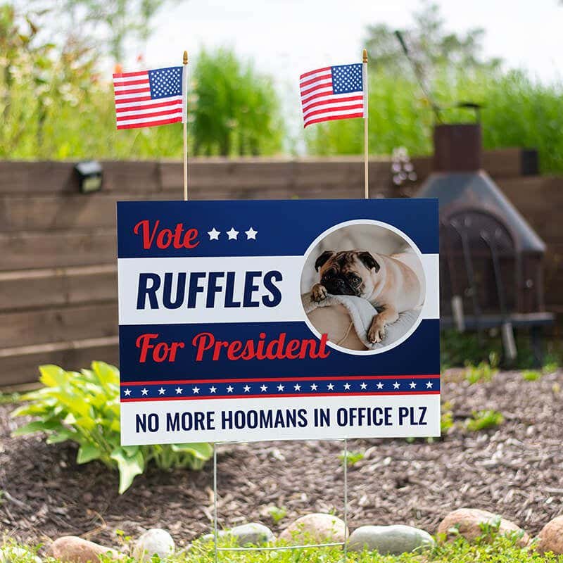 Set of American Flags Add On
