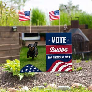 Set of American Flags Add On