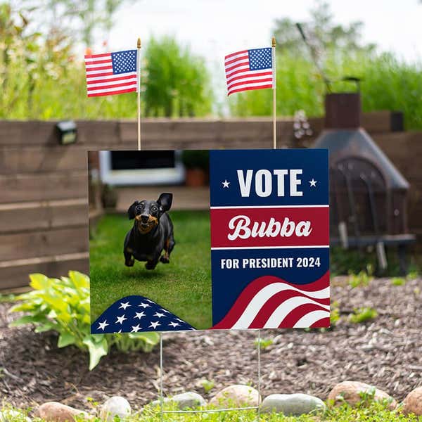 Set of American Flags Add On