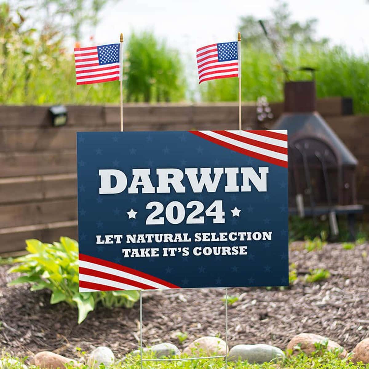 Set of American Flags Add On