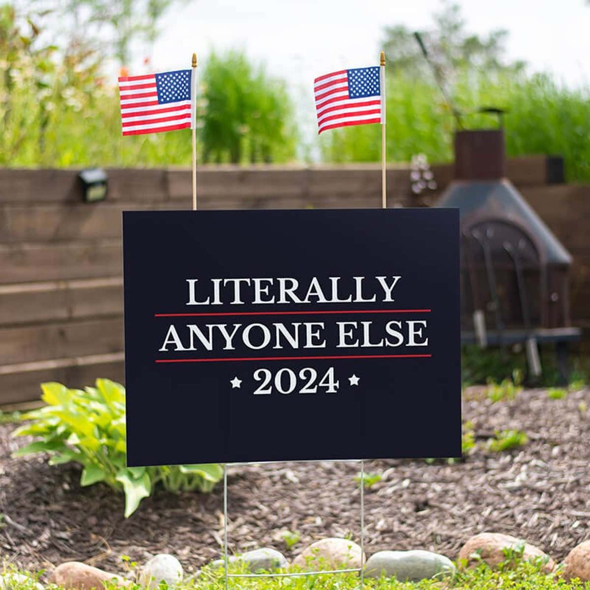 Set of American Flags Add On