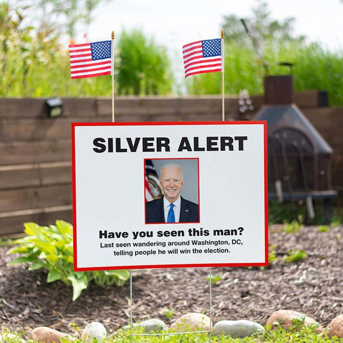 Set of American Flags Add On