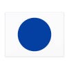 Blue Dot Yard Sign|Democrat Vote Blue 2024 Sign