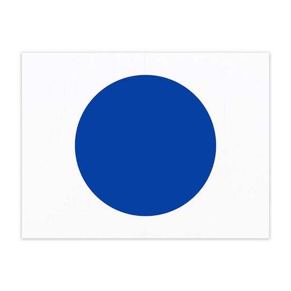 Blue Dot 2024 Yard Sign | Democrat Blue Dot Political Sign for Nebraska's 2nd District