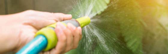 Managing Your Water Consumption