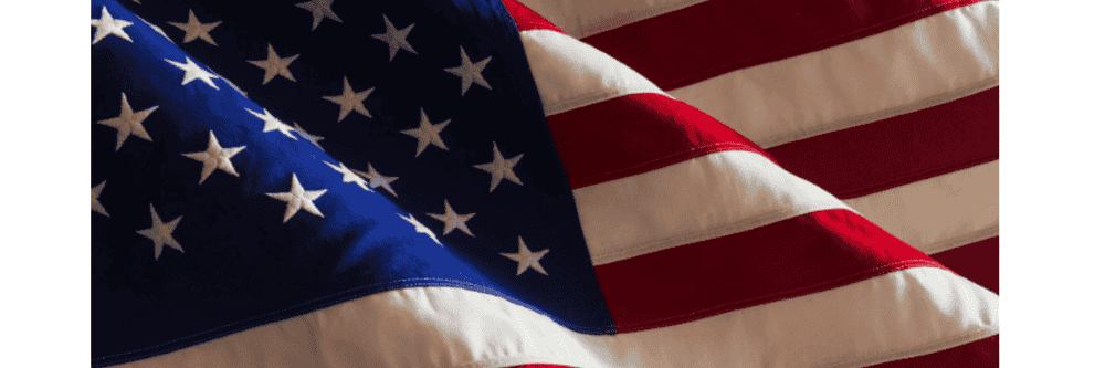 Political Yard Signs, What You Should Know